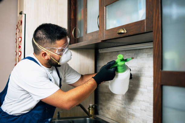 Best Best Pest Control Companies  in Mayo, FL