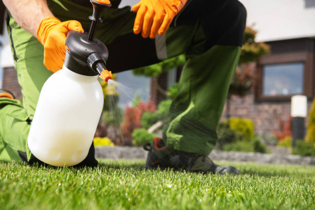 Best Best Pest Control Companies  in Mayo, FL