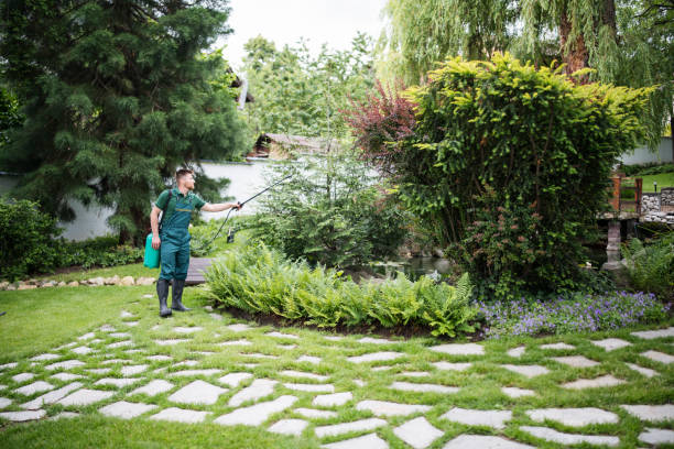 Best Pest Removal Services  in Mayo, FL