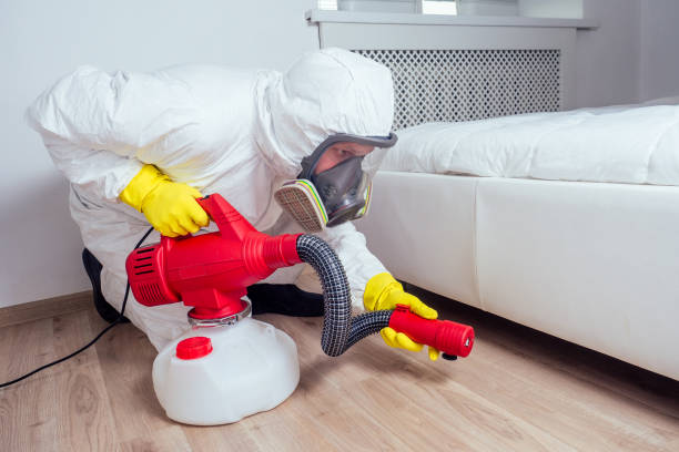 Trusted Mayo, FL Pest Control Experts