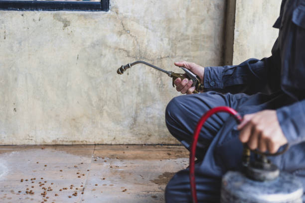 Best Pest Control for Homes  in Mayo, FL